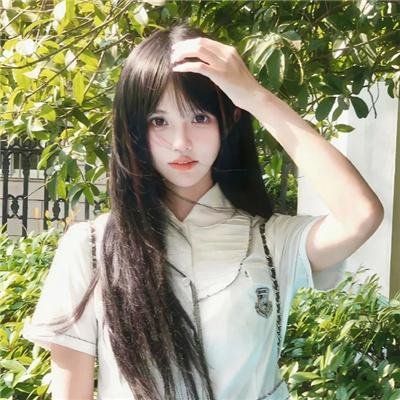 丹特丽安的书架